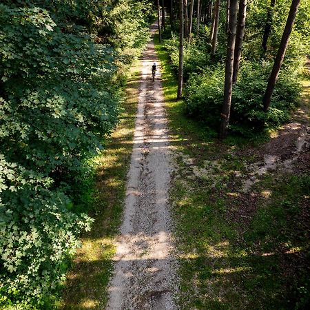 Hotel Scoiattolo Baselga di Pine Luaran gambar