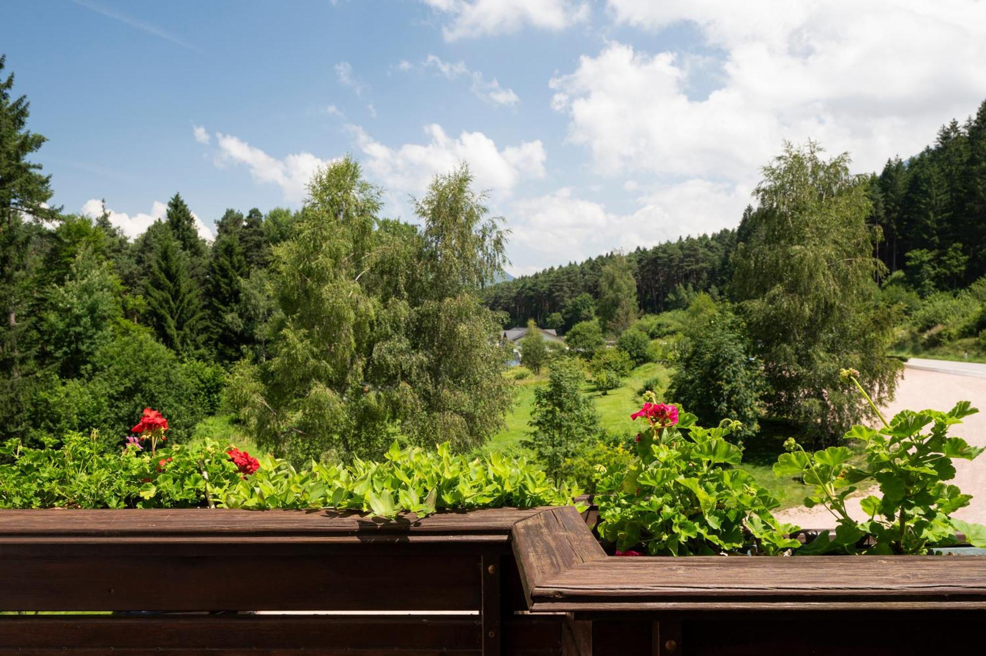 Hotel Scoiattolo Baselga di Pine Luaran gambar
